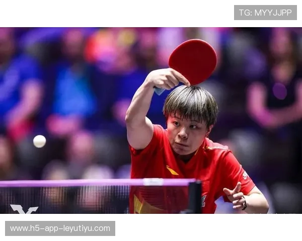 明星新秀崭露头角，冲击季后赛！，明星新秀崭露头角,冲击季后赛是哪一期